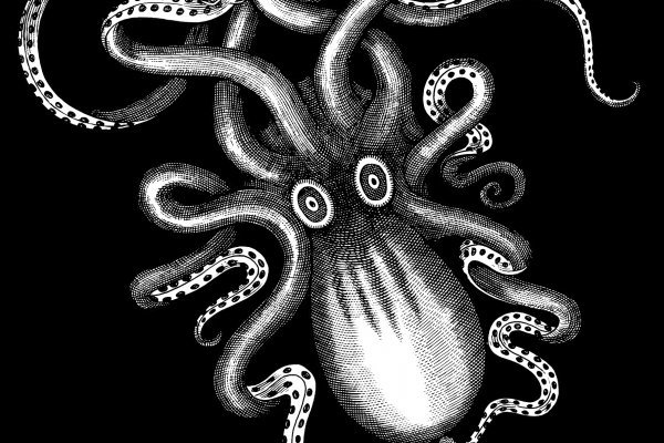 Kraken сайт магазин